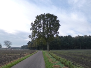 2012-11 04 Zoersel 009