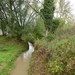 2012-11 04 Strombeek-Bever 002