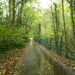 2012-11 04 Strombeek-Bever 008