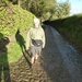 2012-11 04 Strombeek-Bever 013