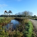 2012-11 06 Geel 001