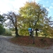 2012-11 06 Geel 007