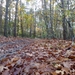 2012-11 06 Geel 018
