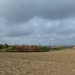 2012-11 07 Kluisbergen 002