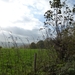 2012-11 07 Kluisbergen 004