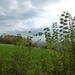 2012-11 07 Kluisbergen 005