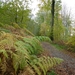 2012-11 07 Kluisbergen 008