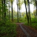 2012-11 07 Kluisbergen 009