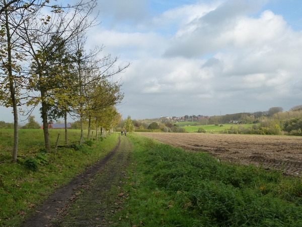 2012-11 07 Kluisbergen 011