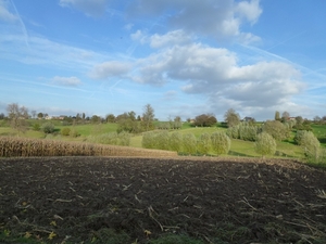 2012-11 07 Kluisbergen 021