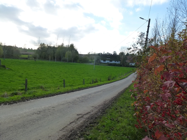 2012-11 07 Kluisbergen 022