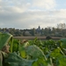2012-11 07 Kluisbergen 026