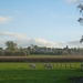 2012-11 07 Kluisbergen 027
