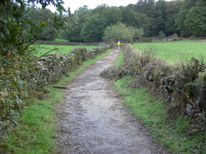 ALLEEN IN DE MORGENSTOND