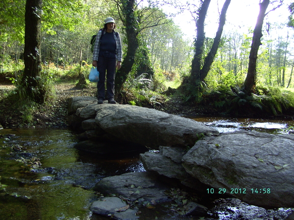 HIER MOET IK OOK OVER;  HOE ??