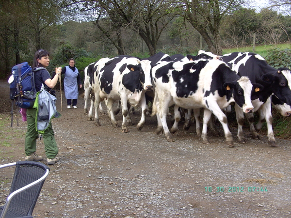 PELGRIM - DIERENVRIEND(IN)