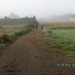 LANDELIJKE WEG IN DE OCHTENDNEVEL