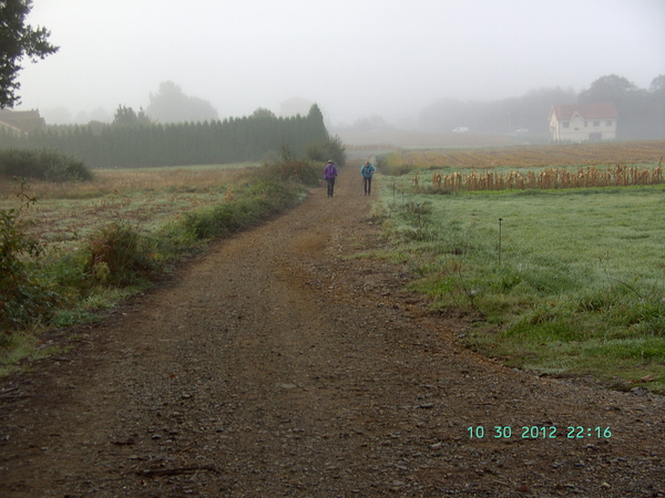 LANDELIJKE WEG IN DE OCHTENDNEVEL