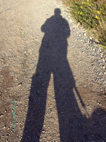 DE ZON SCHIJNT EN GEEFT SCHADUW