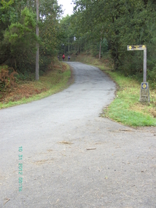 GE KUNT NIET MISSEN, VOLG MAAR