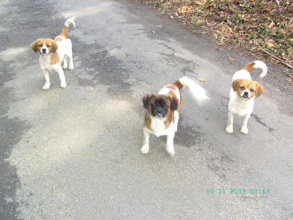 KWISPELEND, VOL VERWACHTING