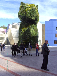 DE GROTE GROENE POES