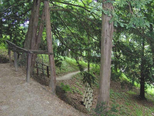 map oosterijk 2009 junie 033