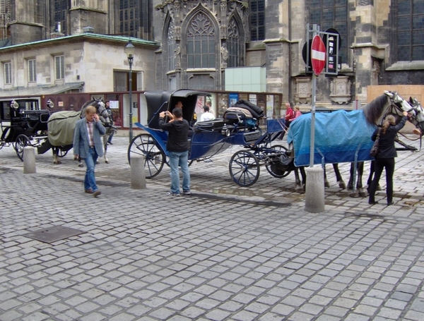 map oosterijk 2009 junie 050