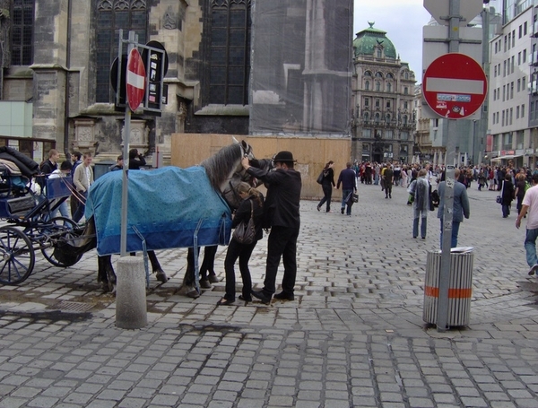 map oosterijk 2009 junie 051