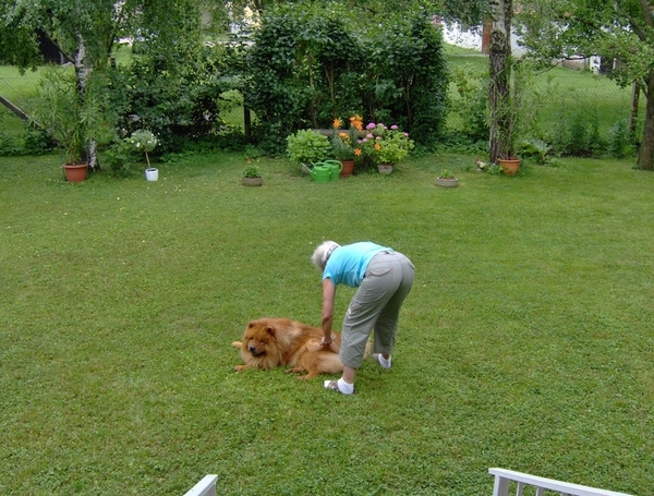 map oosterijk 2009 junie 069