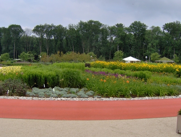 map oosterijk 2009 junie 072