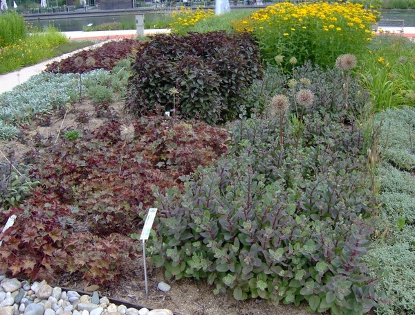 map oosterijk 2009 junie 074