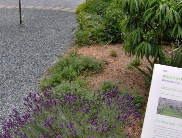 map oosterijk 2009 junie 083