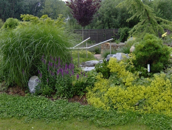 map oosterijk 2009 junie 088