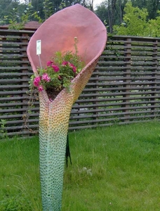 map oosterijk 2009 junie 119