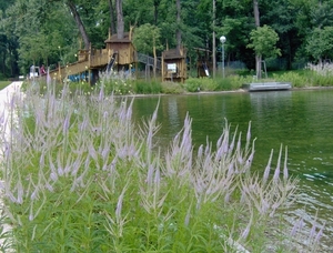 map oosterijk 2009 junie 121