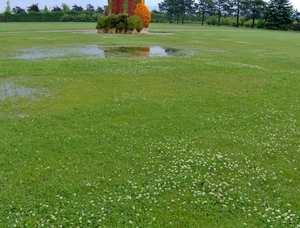 map oosterijk 2009 junie 122