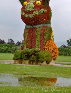 map oosterijk 2009 junie 124