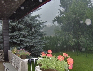 map oosterijk 2009 junie 127