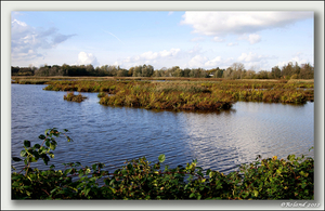 _DSC4601-F - Molsbroek