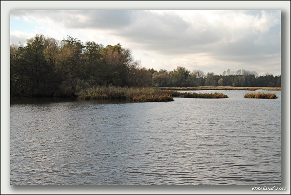 _DSC4602-F Molsbroek