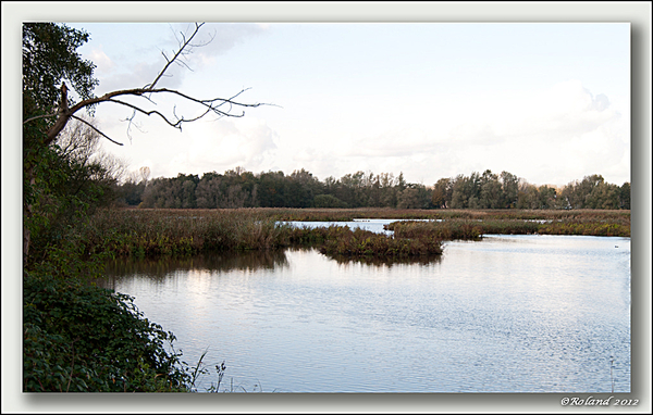 _DSC4605-F Molsbroek