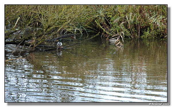 _DSC4618-F Molsbroek