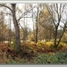 _DSC4630-F Molsbroek