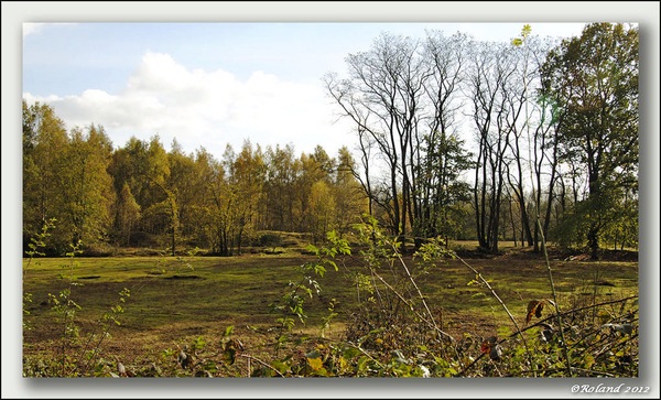 _DSC4644-F Molsbroek