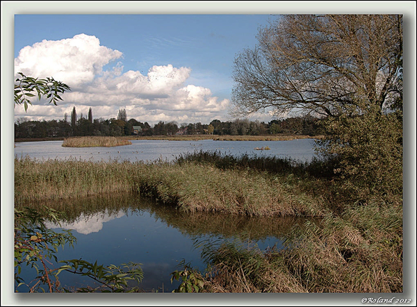 _DSC4655-F Molsbroek