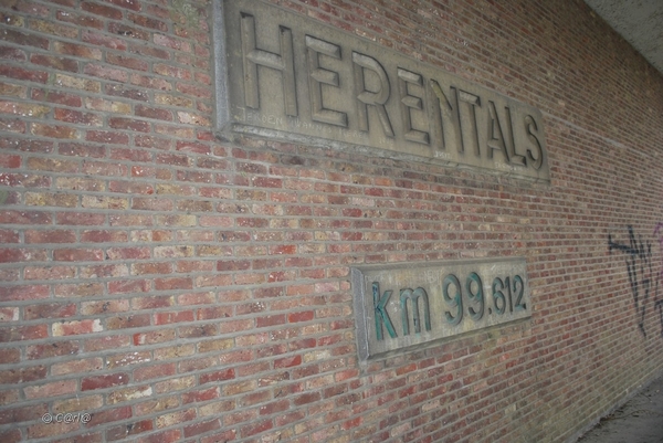 2012-11-06 JanMed Herentals (147)