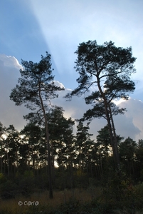 2012-11-06 JanMed Herentals (54)