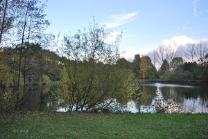 2012-11-06 JanMed Herentals (86)