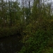2012-11 10 Oudegem 006
